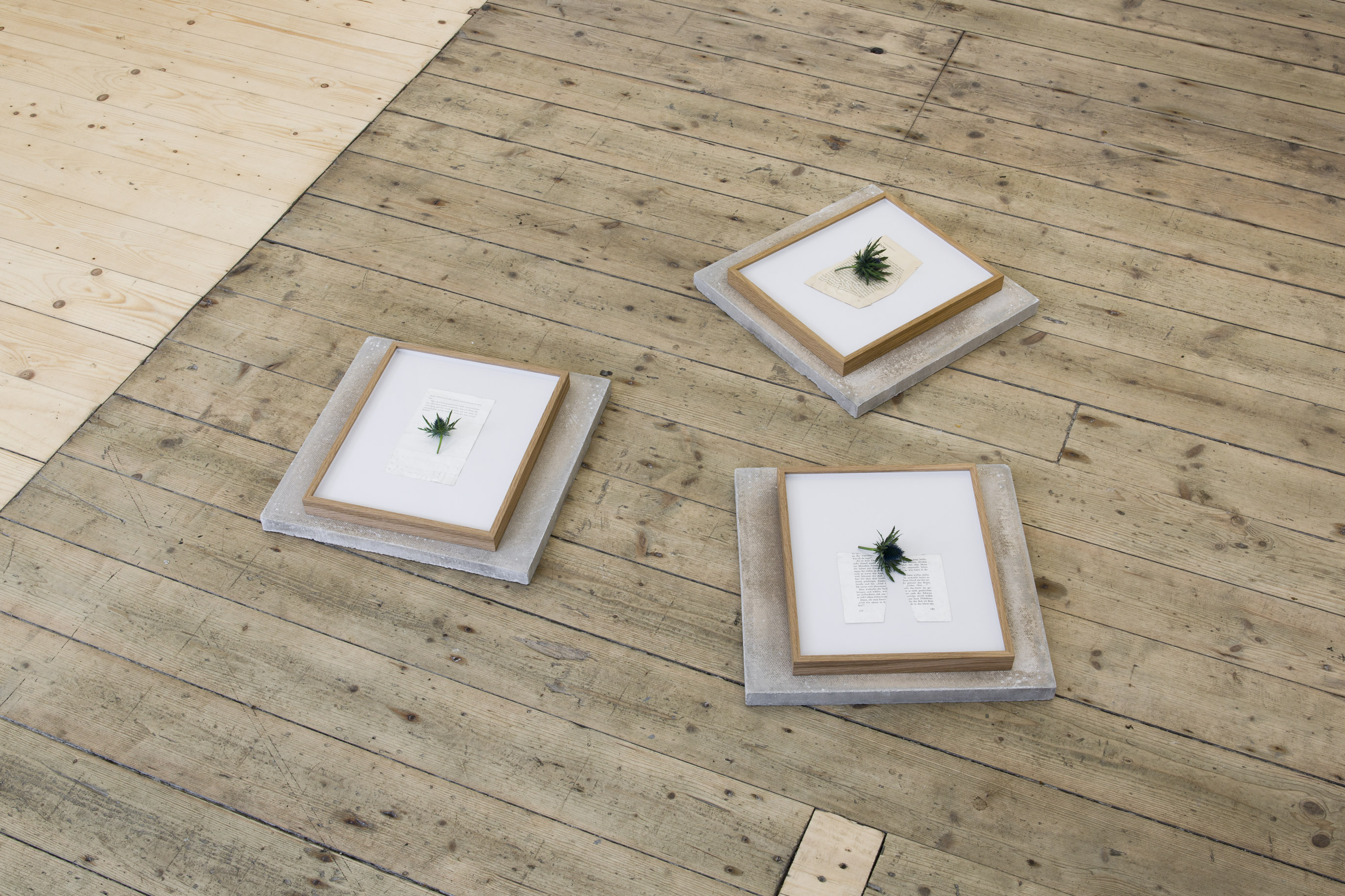 Installation view, To M., 5b, Glasgow, 2025